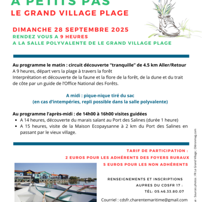 A petits pas 2025.png